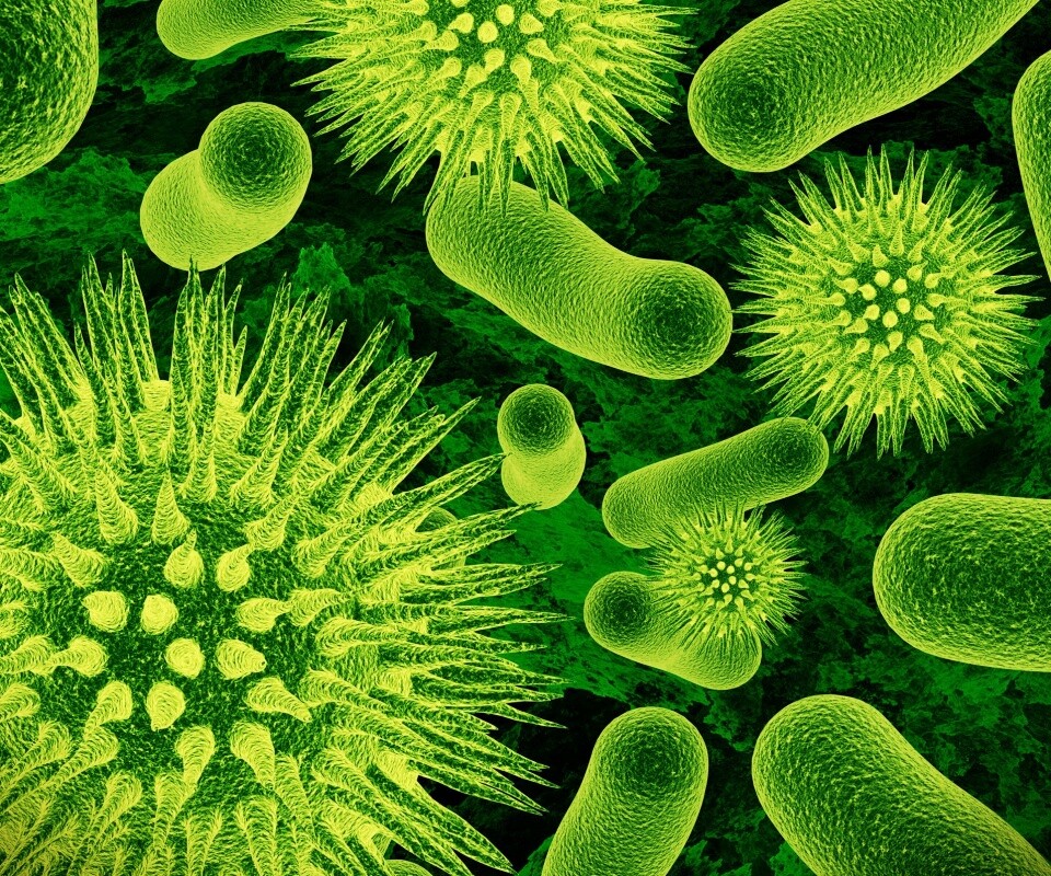 Бактерии обои