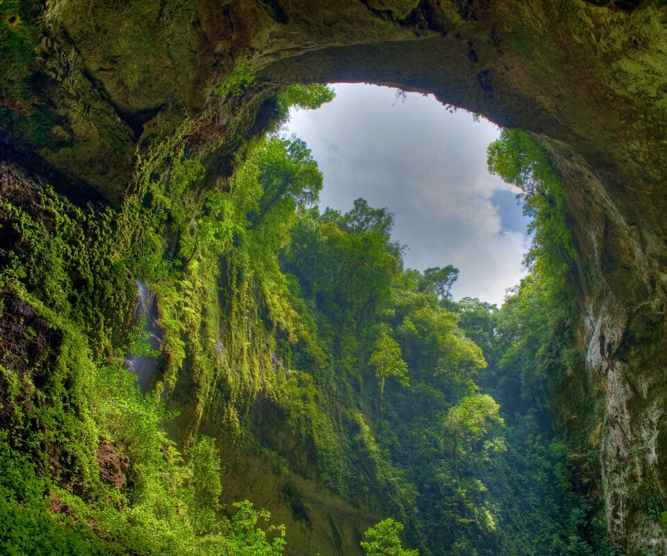 Заросшее ущелье обои