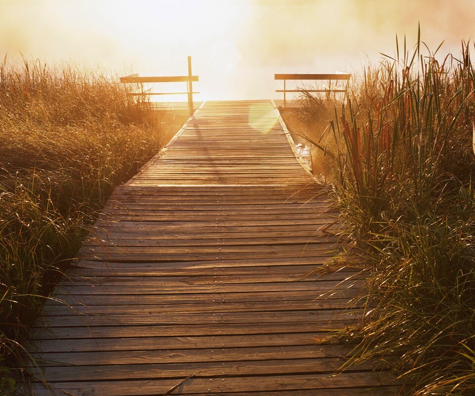 Выход к реке обои