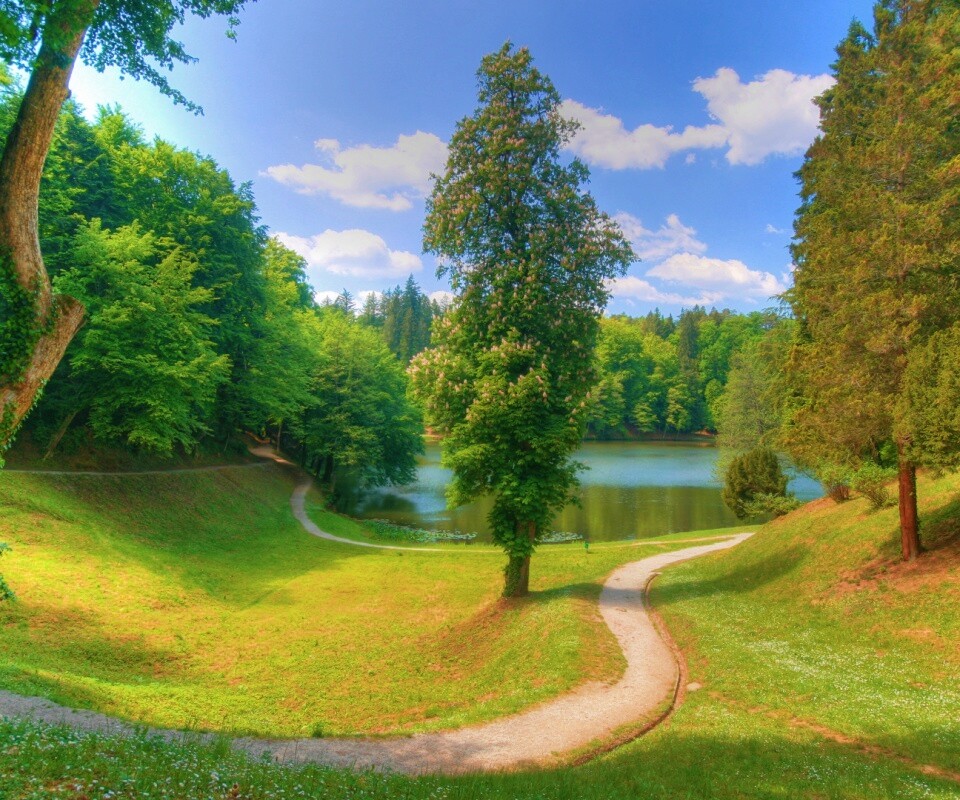 Прекрасная природа обои