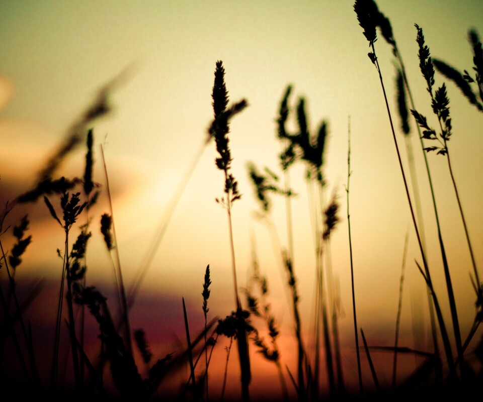 Дыхание природы обои