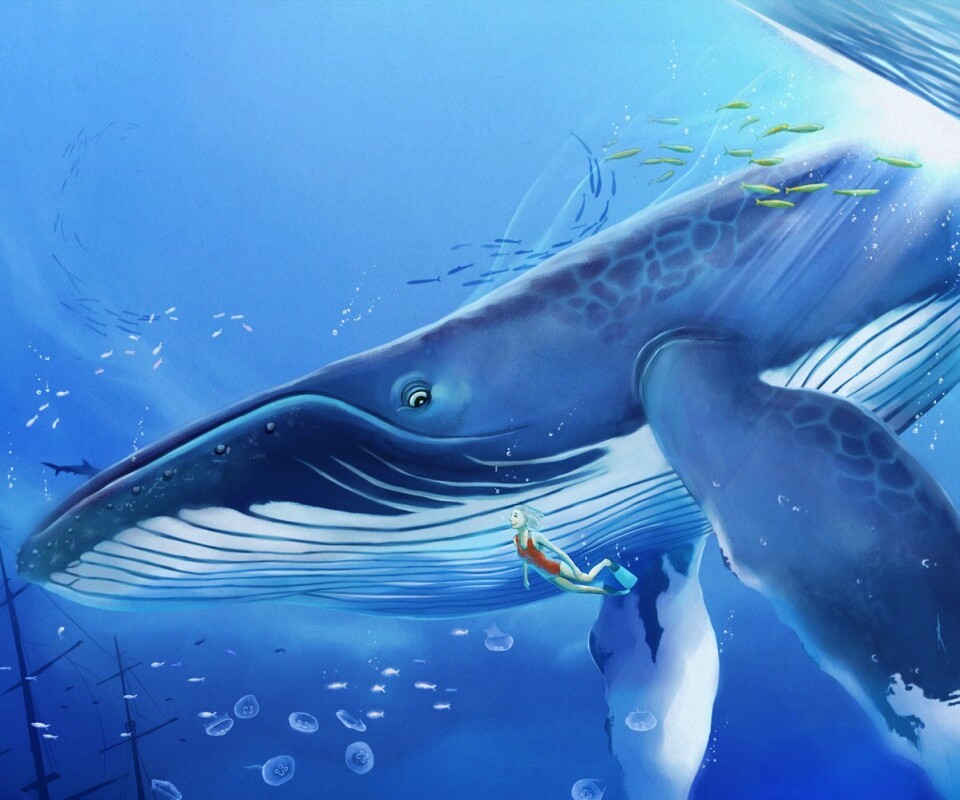 Кит и девушка обои