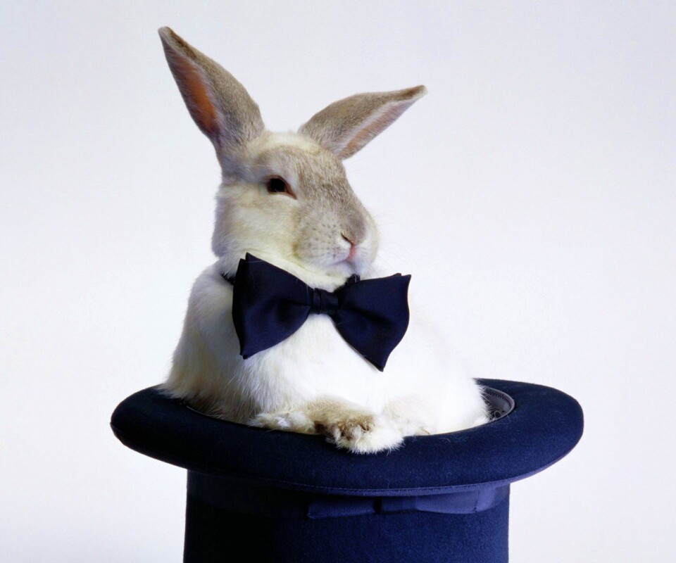 Кролик в цилиндре фокусника обои