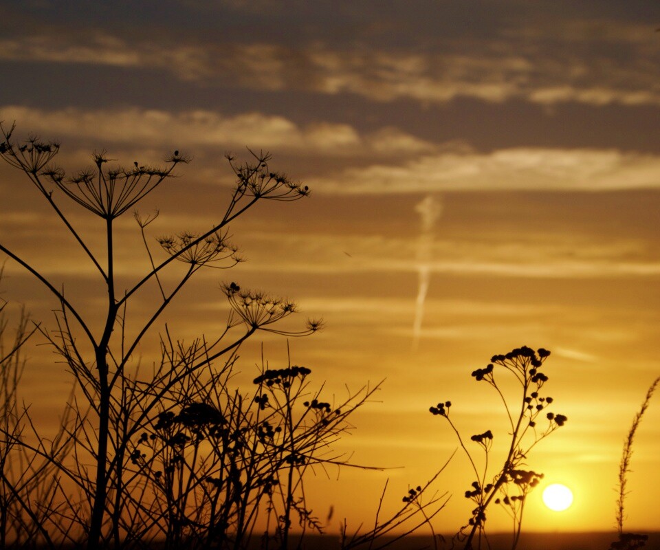 Степной закат обои