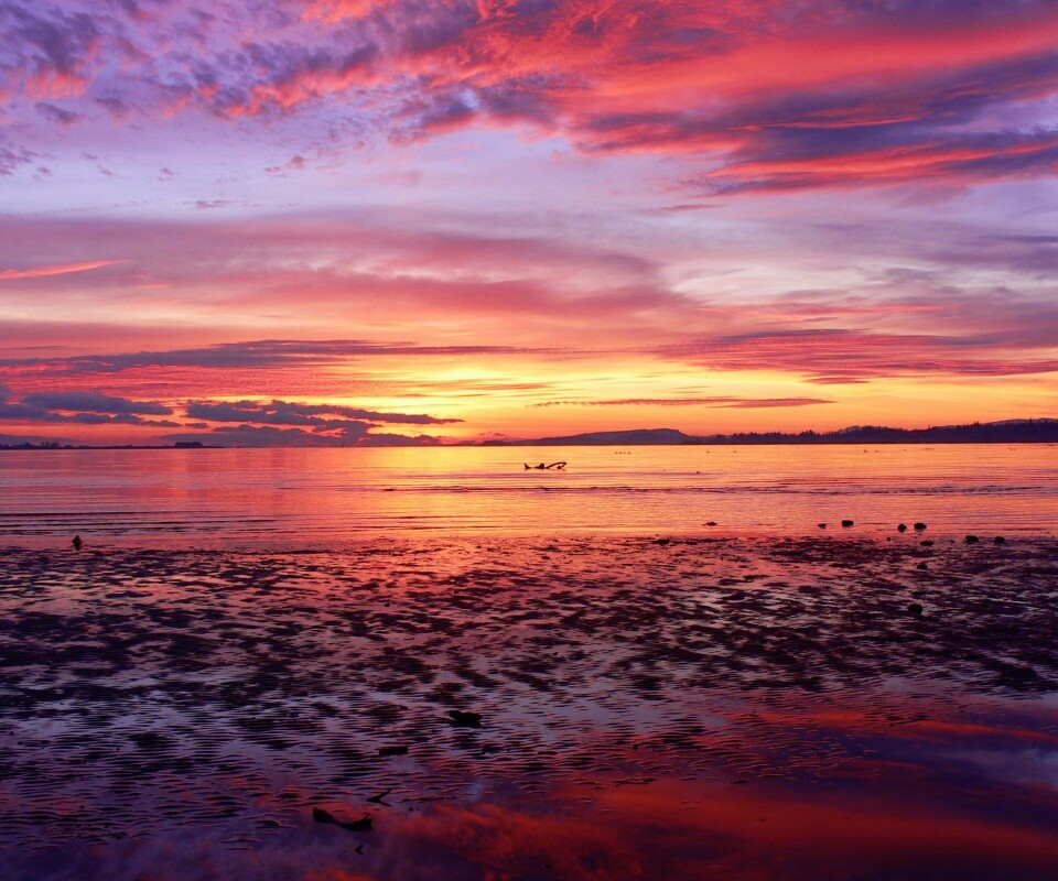 Прекрасный рассвет обои