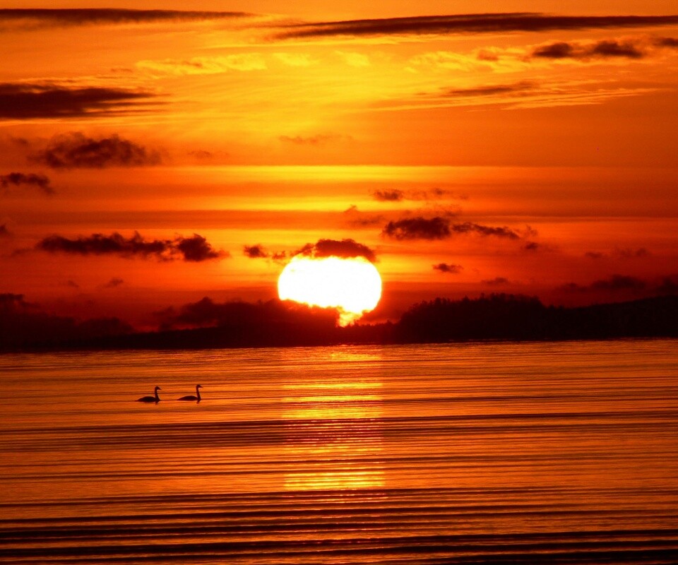 Великолепный рассвет обои