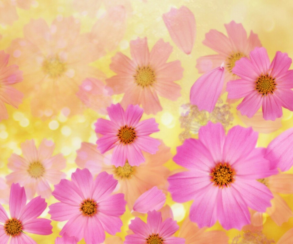 Цветочки обои