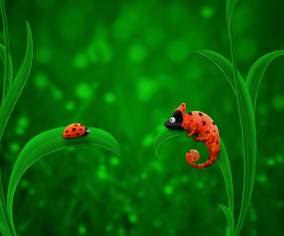 Хамелеон  замаскированный под божью коровку обои