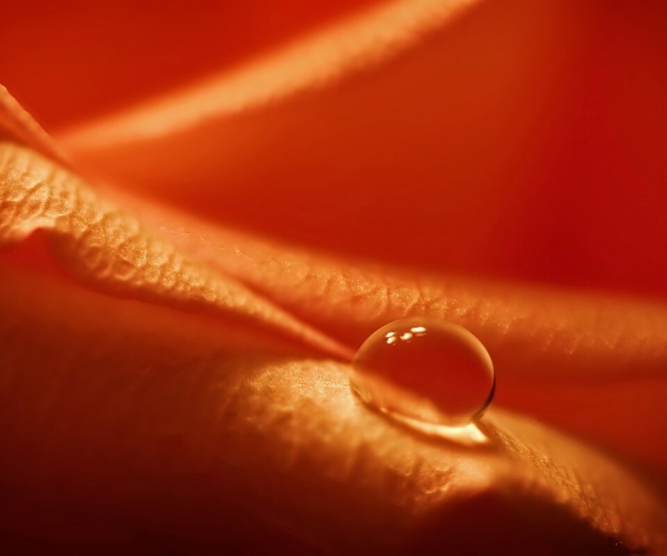 Капелька обои