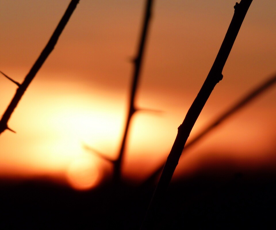 Закат солнца в поле обои