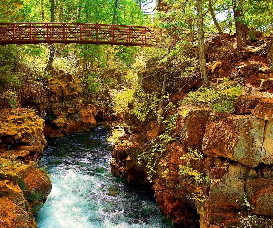 Мостик через реку в лесу обои