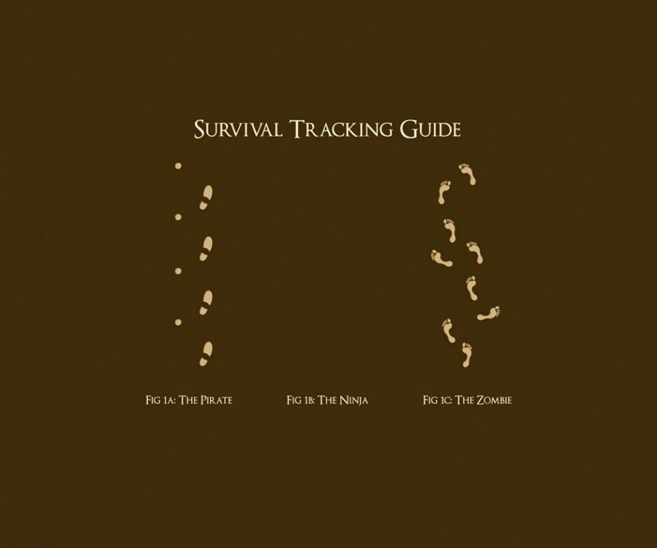 Следы: Пират, Ниндзя, Зомби обои