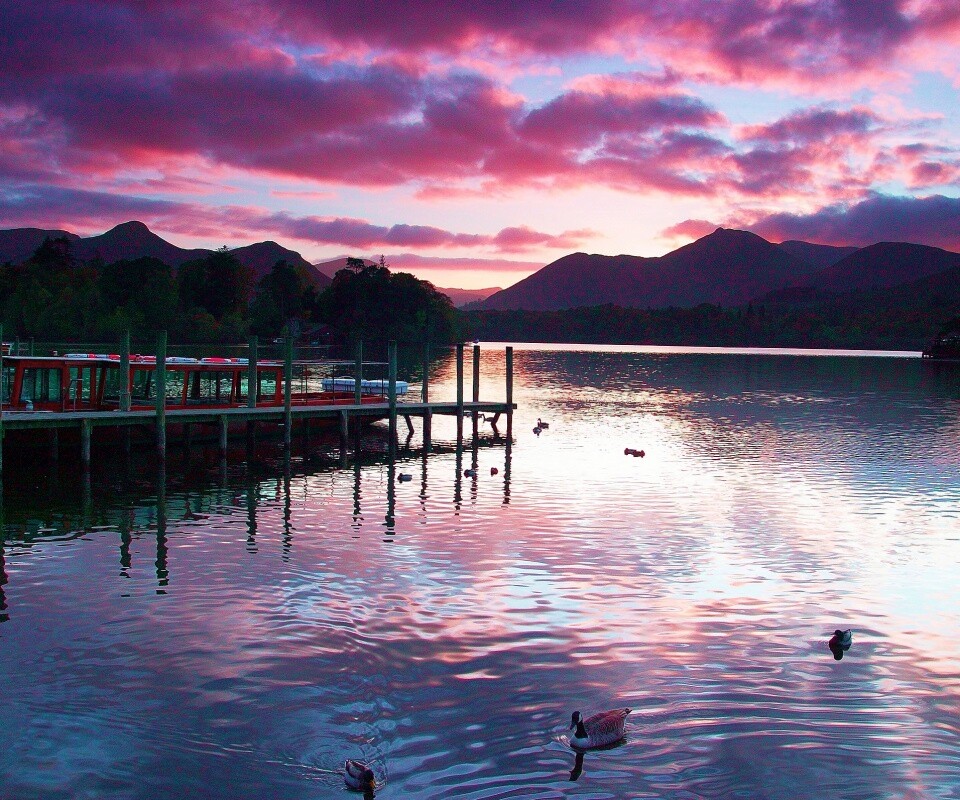 Причал на озере и утки обои