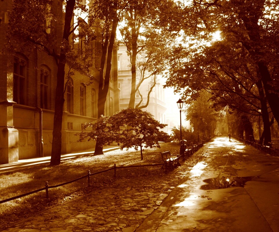 Аллея у здания обои