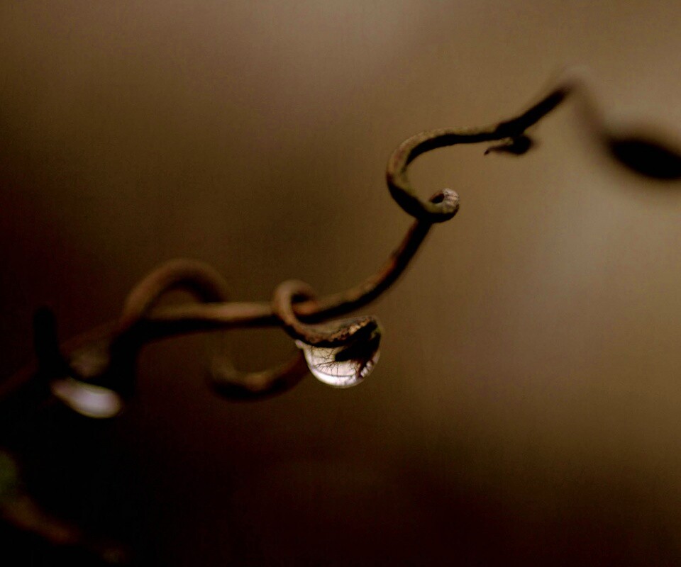 Одинокая капля обои