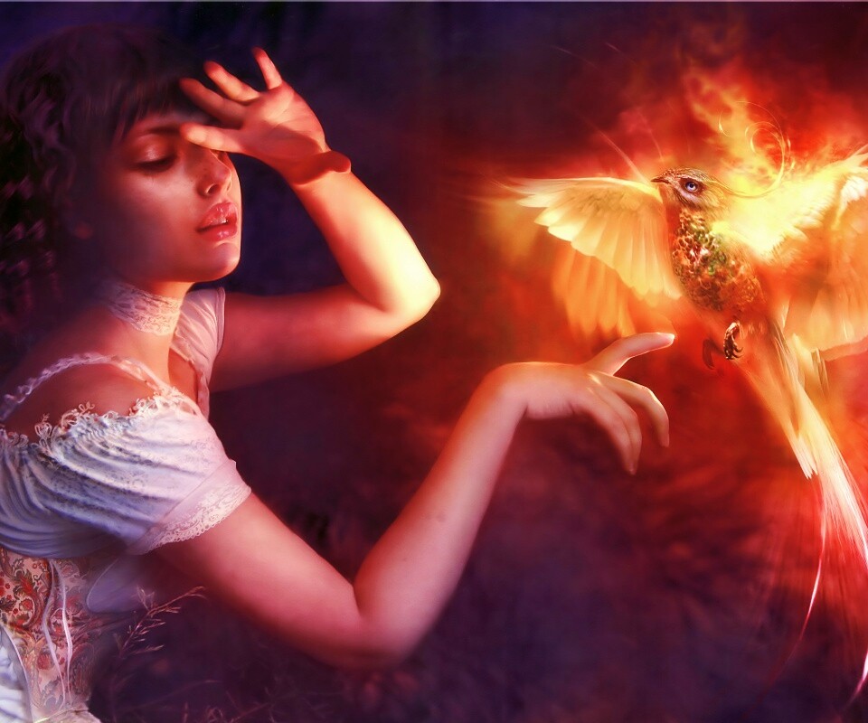 Феникс обои