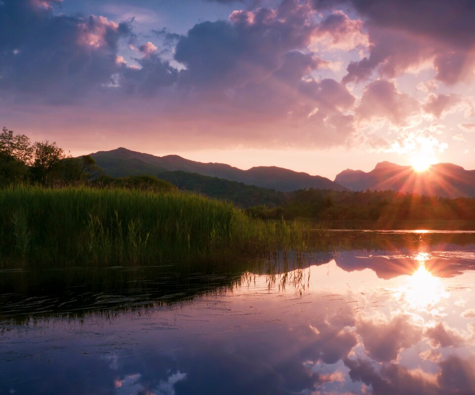 Закат за лесом обои