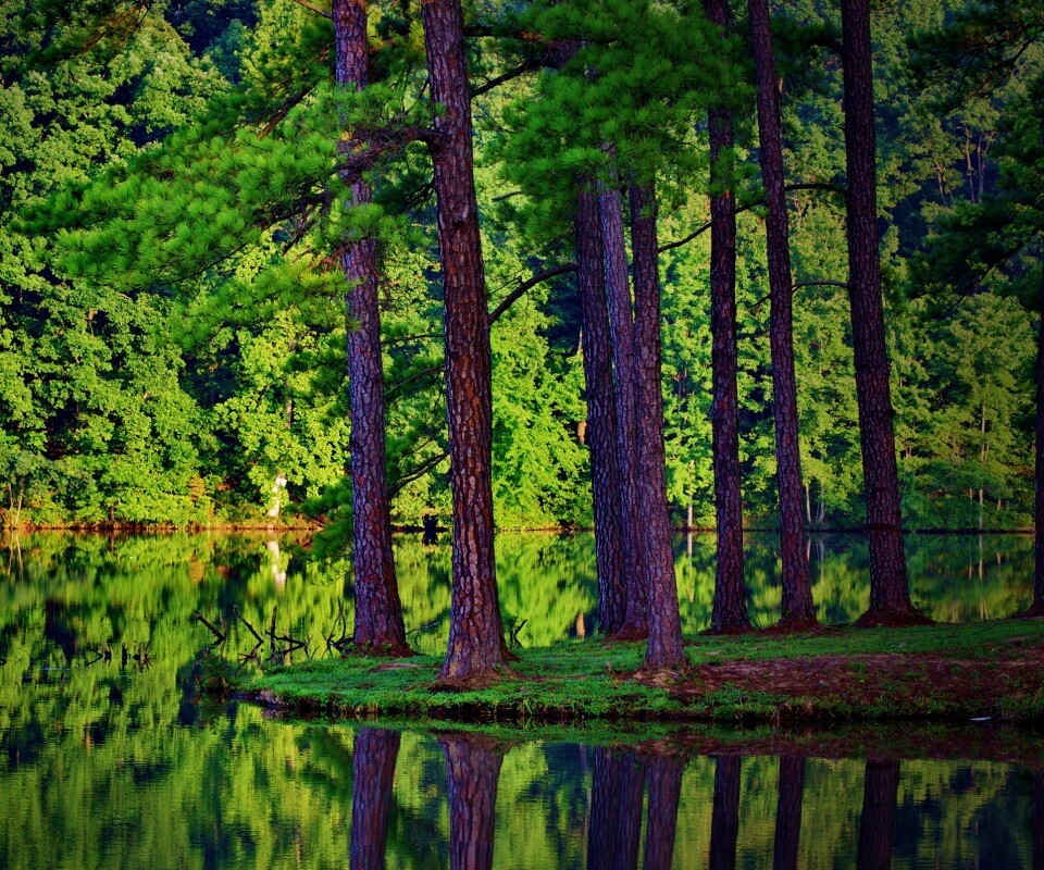 Островок посреди озера обои