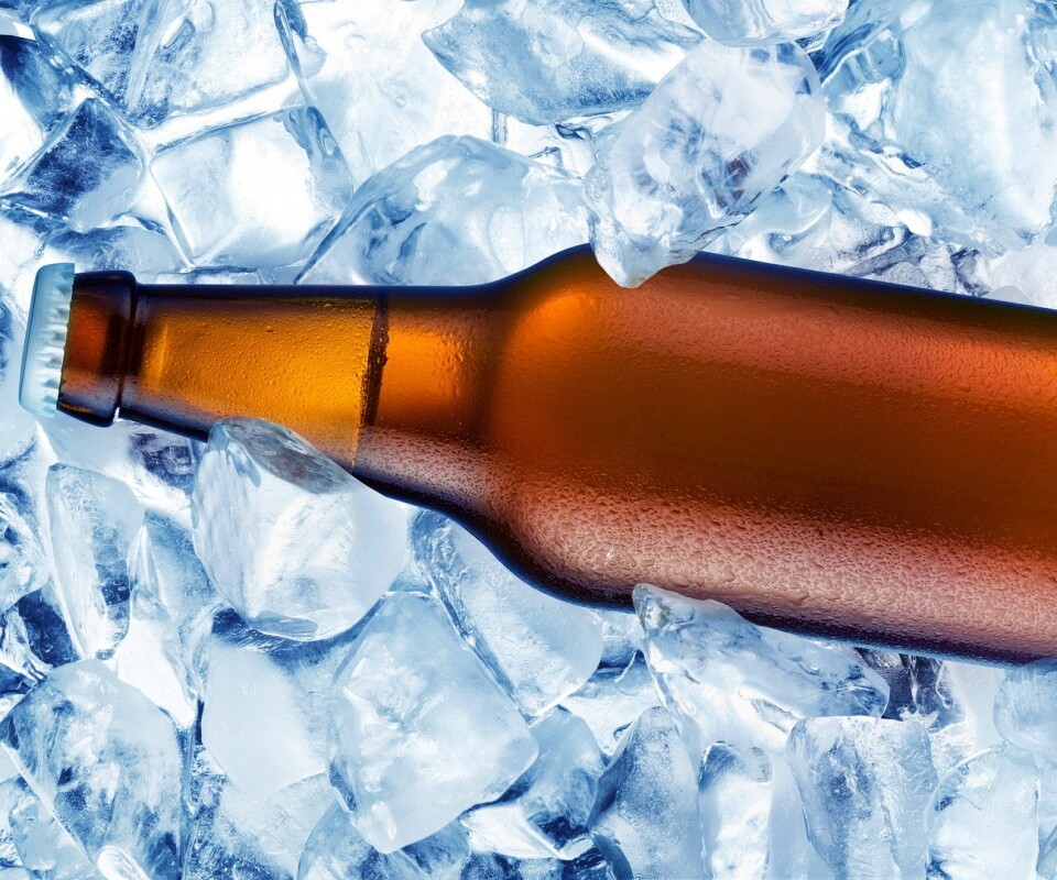 Бутылка пива во льду обои