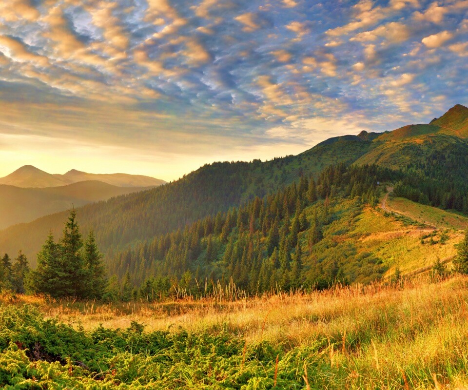 Предгорье обои