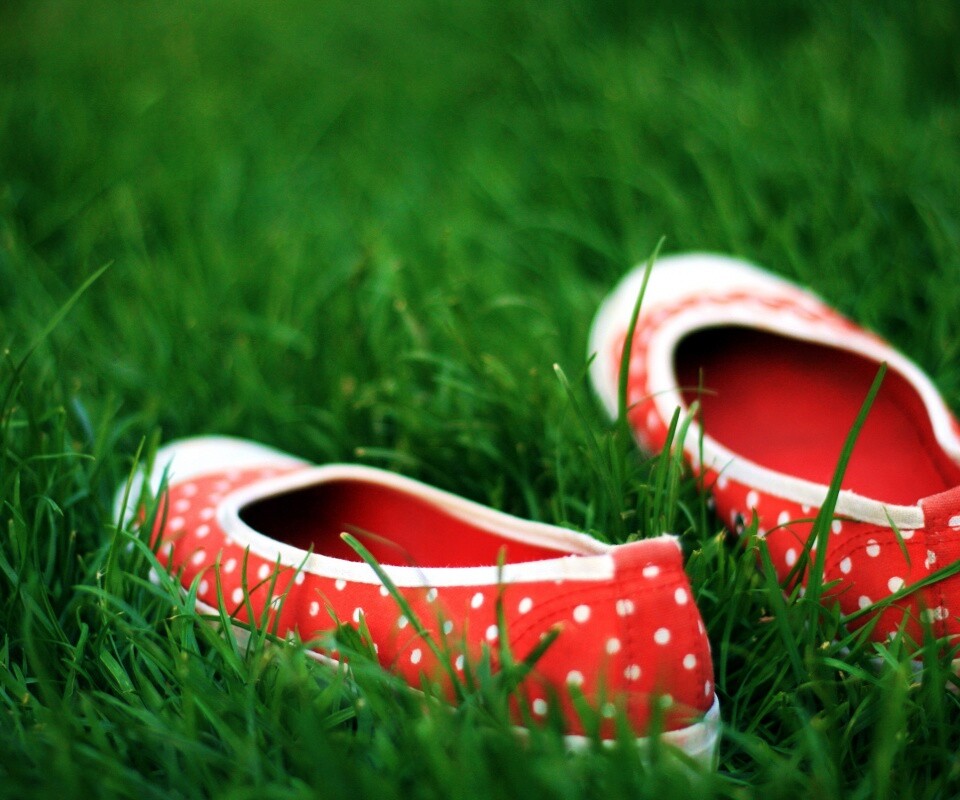 Красные тапки в горошек обои