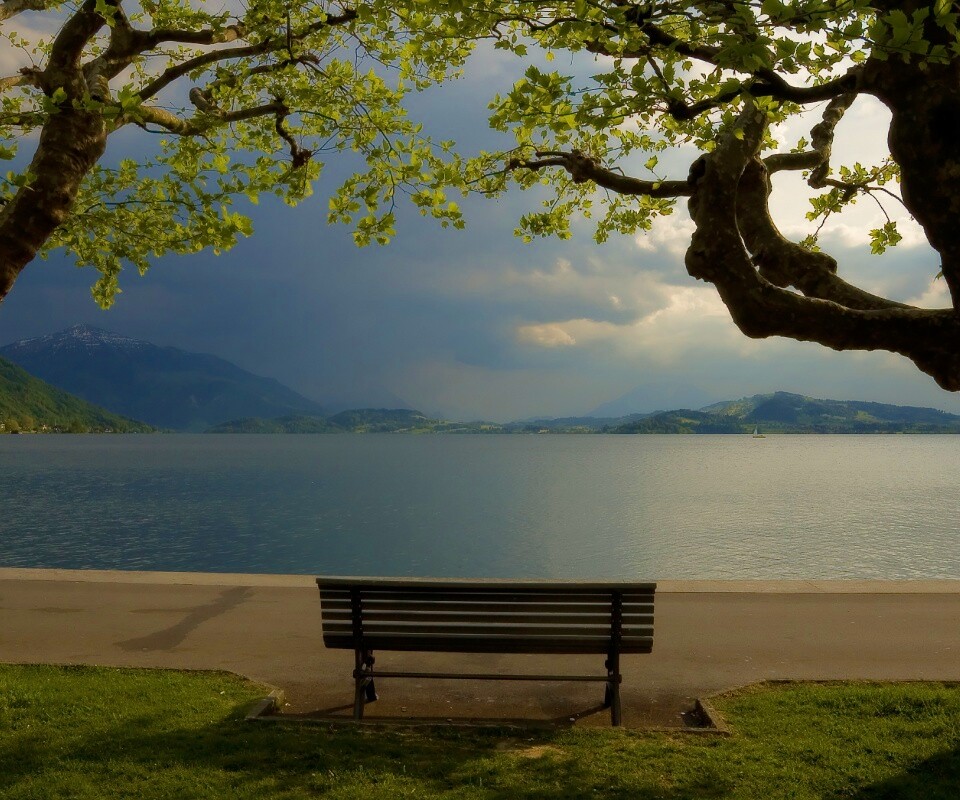 Скамейка на берегу обои