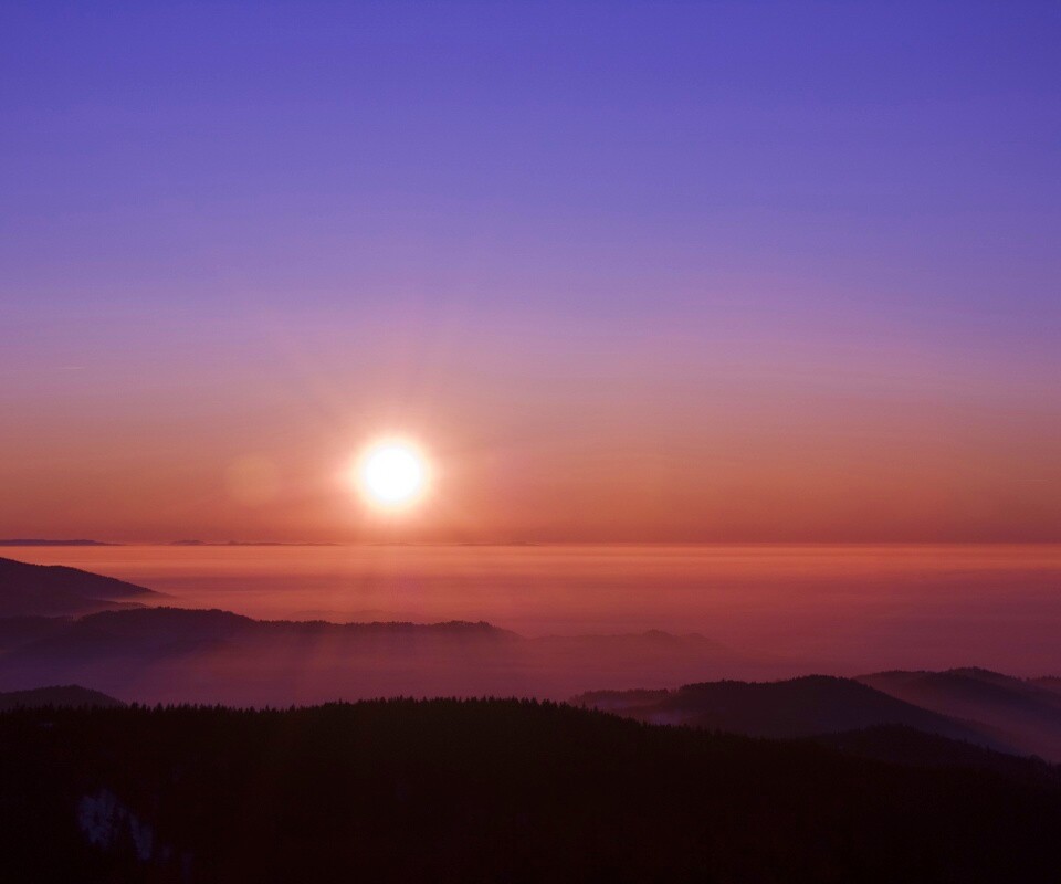 Восход солнца над лесом обои