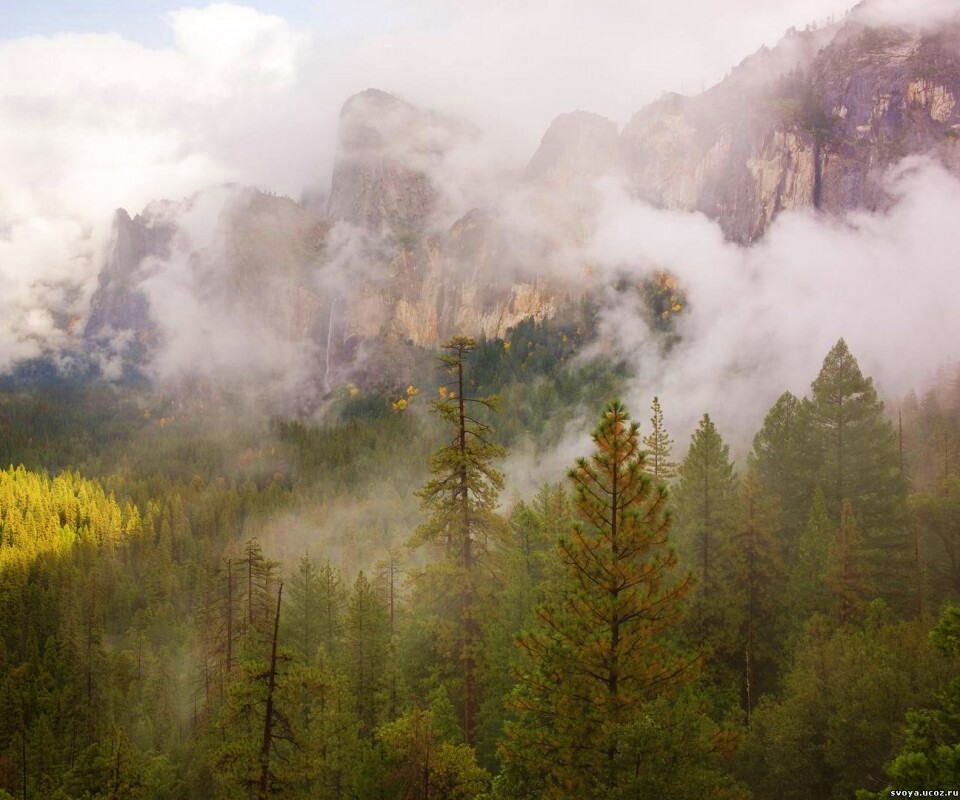 Туман в горах обои