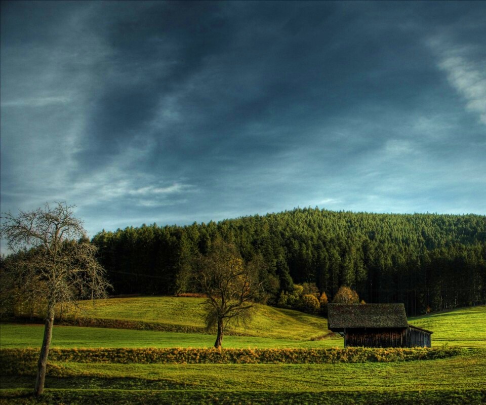 Домик в поле обои