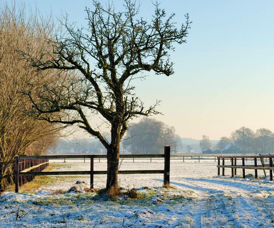 Зимний пейзаж обои