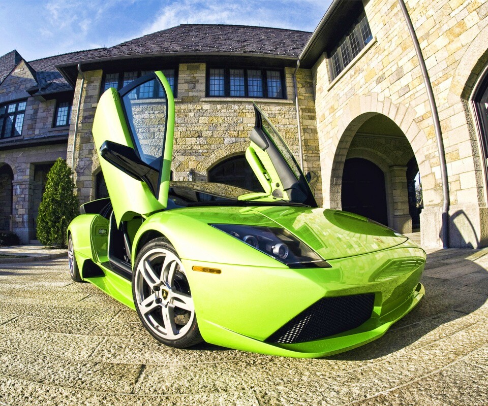 Зеленая ламба обои