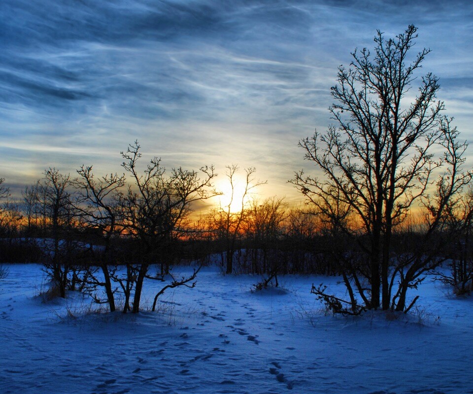 Закат в зимнем лесу обои