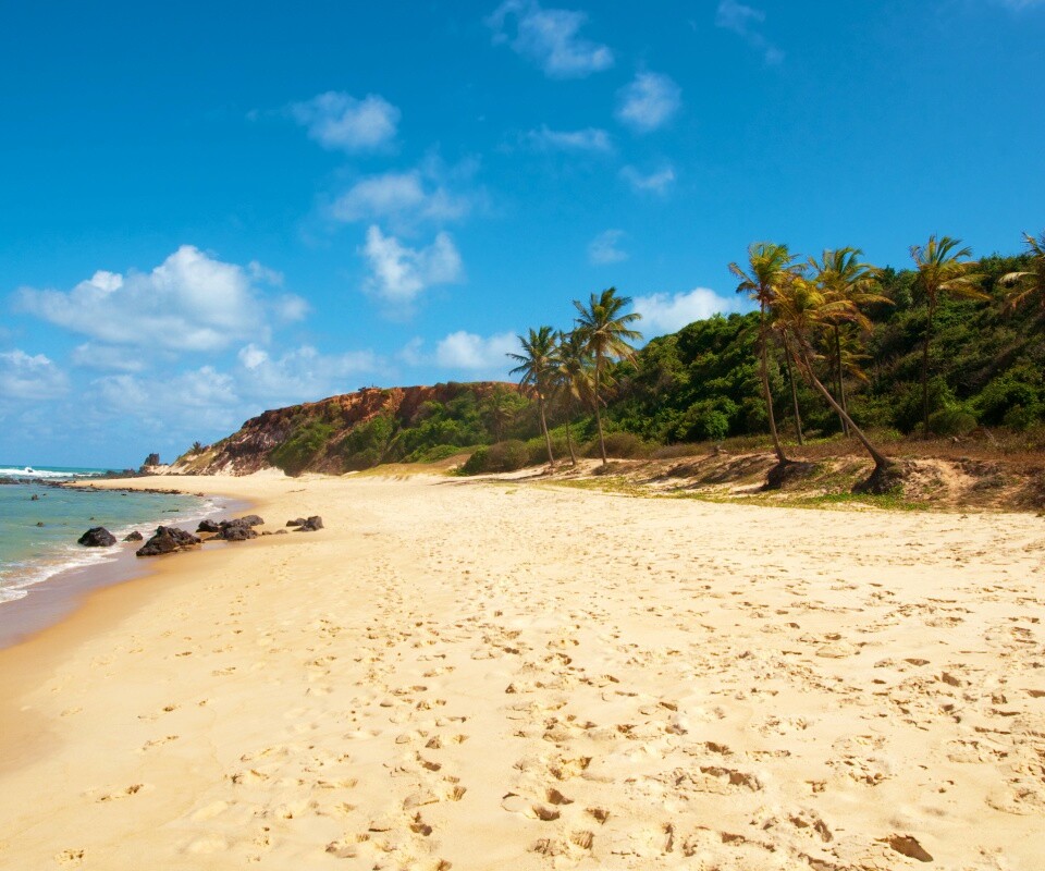 Туры в Бразилию в Лондрину обои