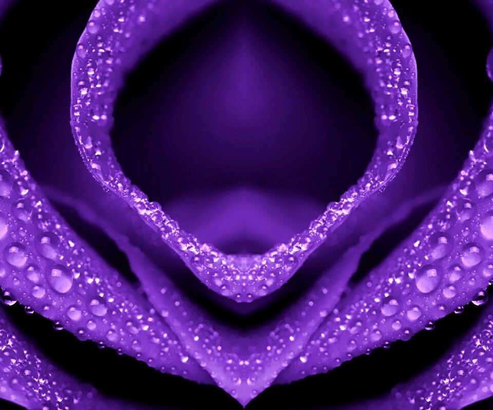 Цветочный зев обои