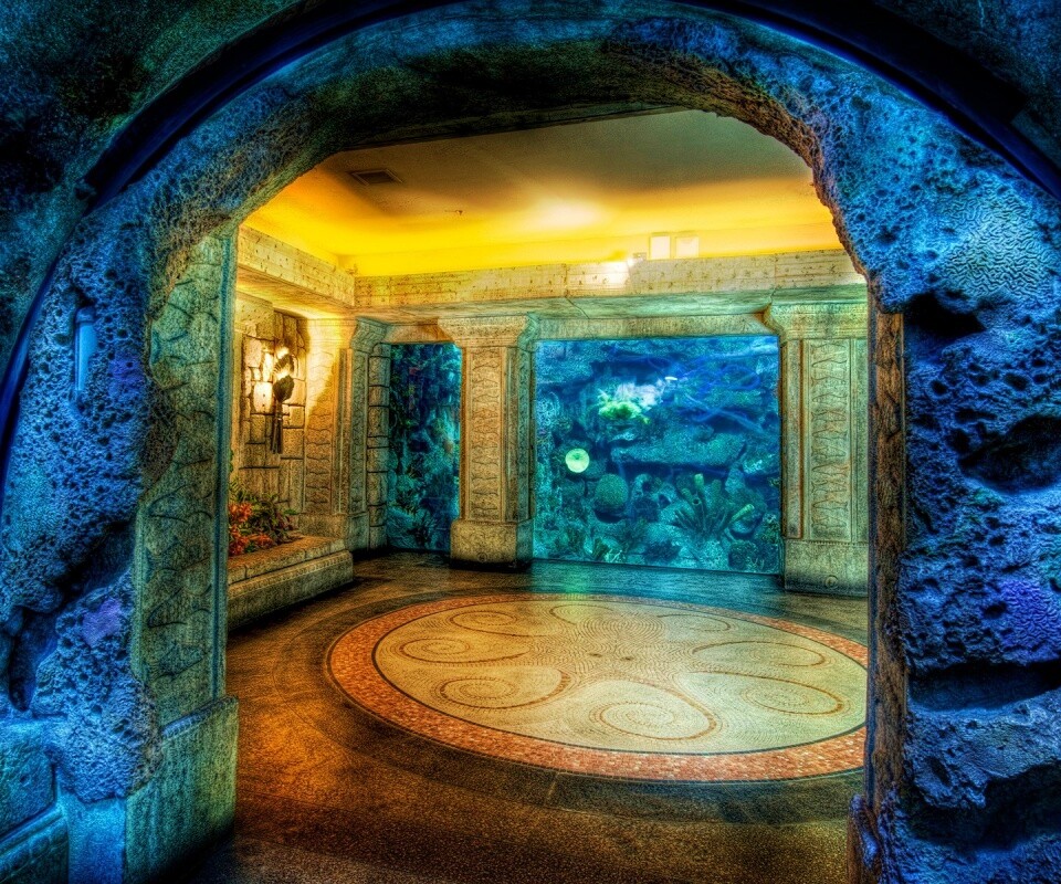 Аквариум обои