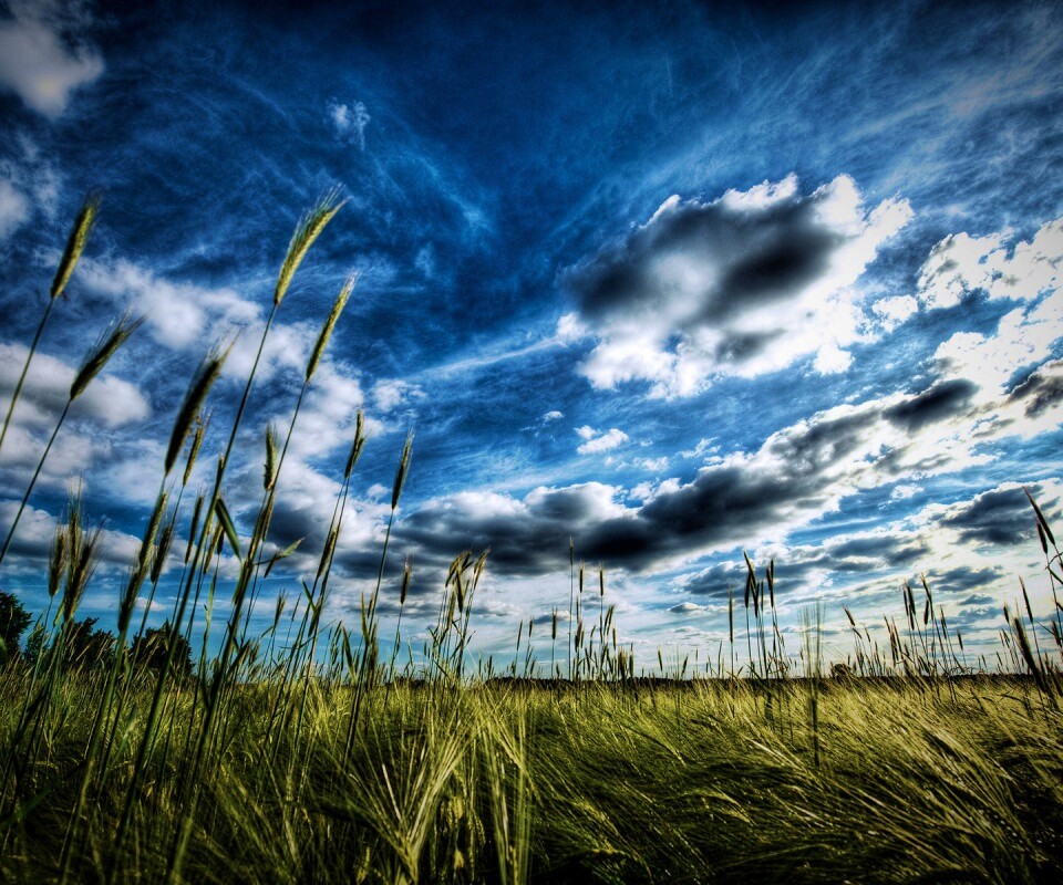 HDR Поле обои