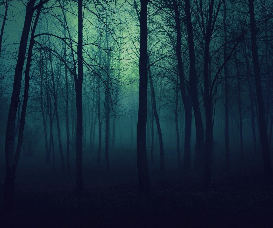 Страшный туманный лес обои