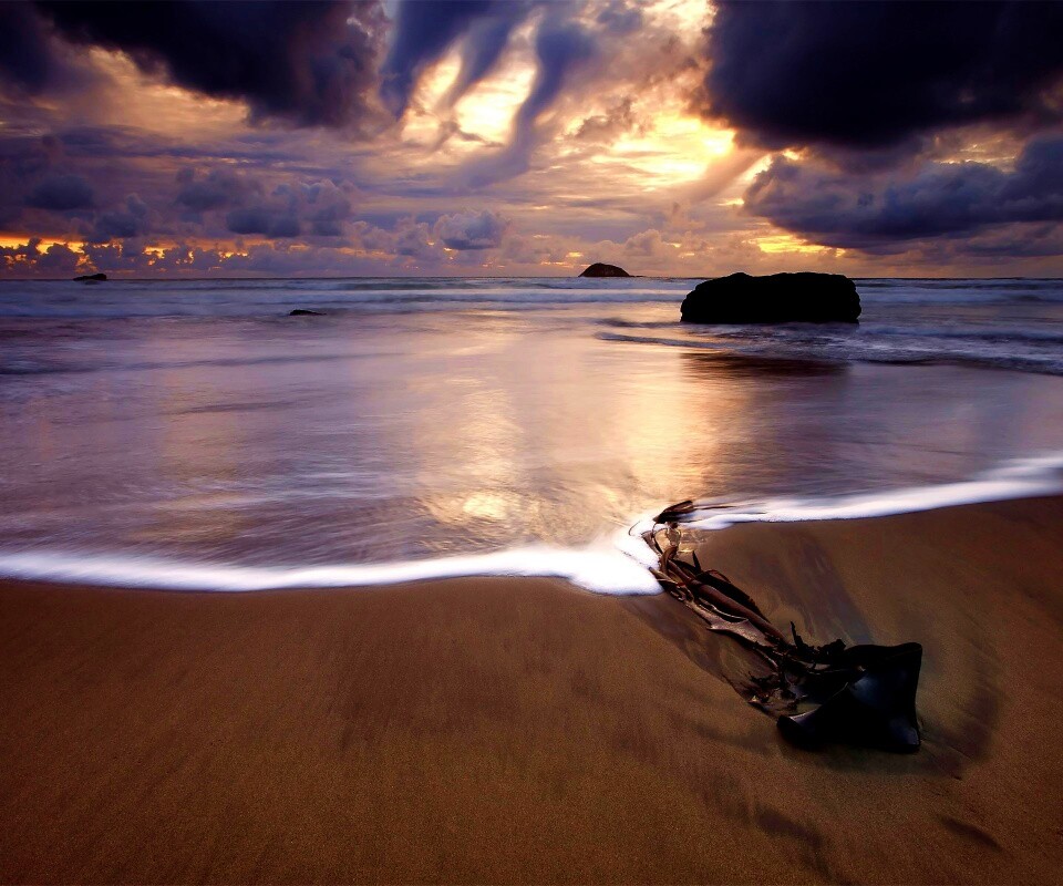 Коряга на пляже обои