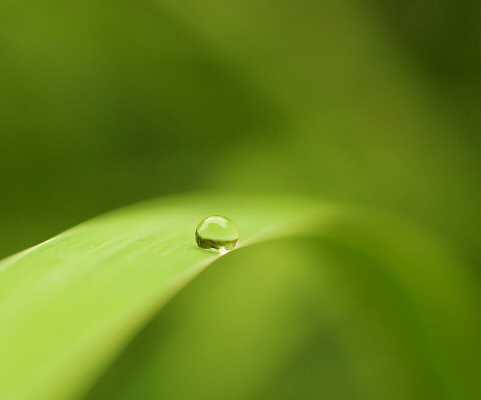 Капелька воды обои