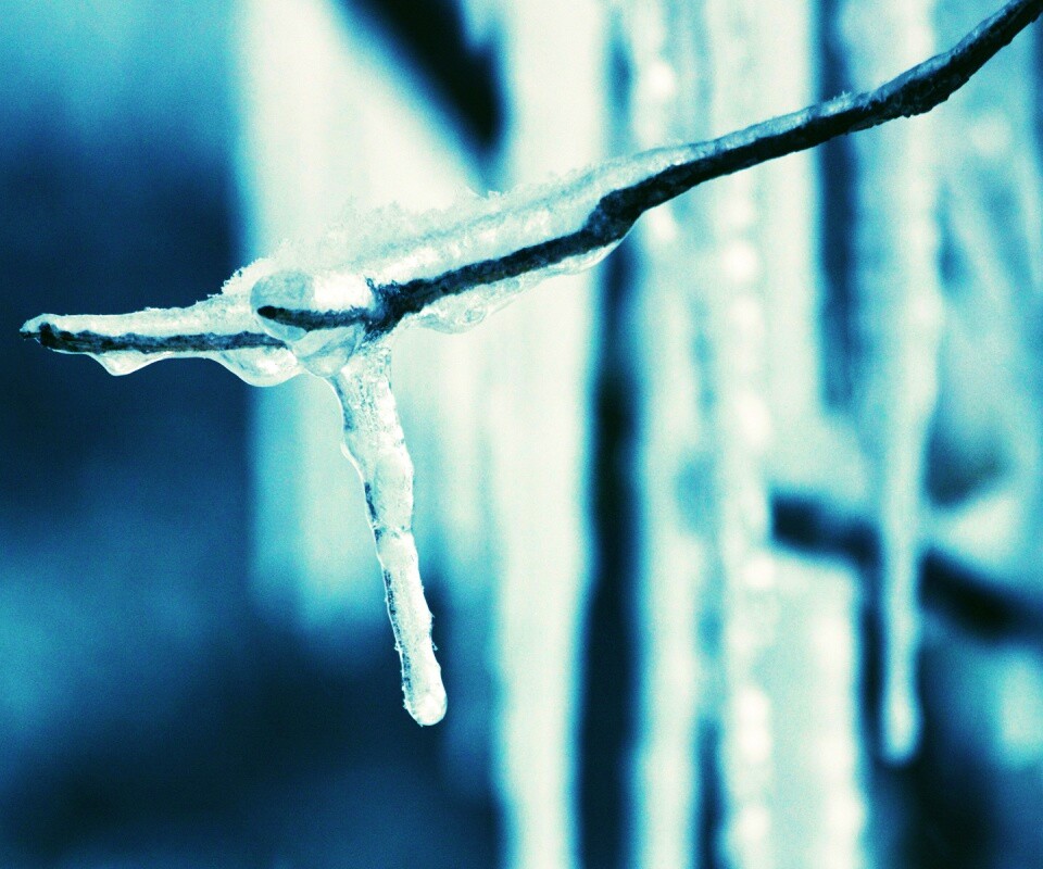 Сосуля обои