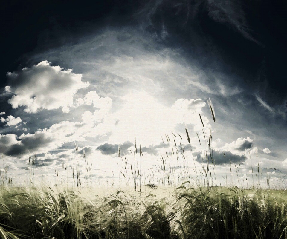 Сюрреалистичная трава обои