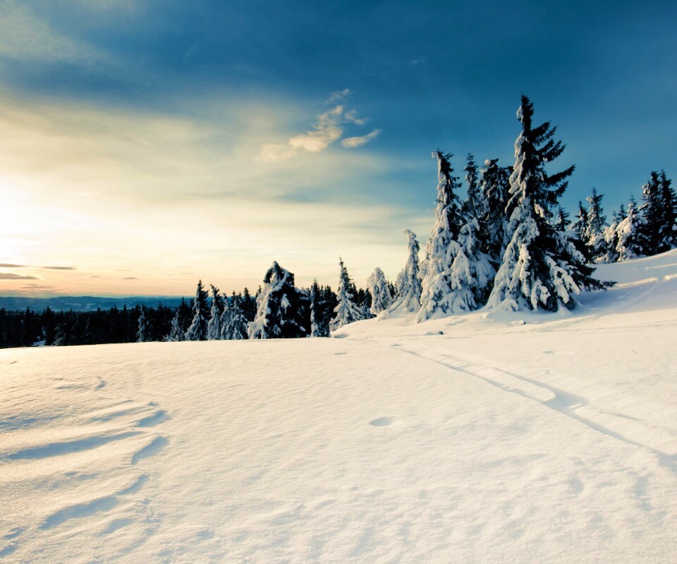 Зимние просторы обои