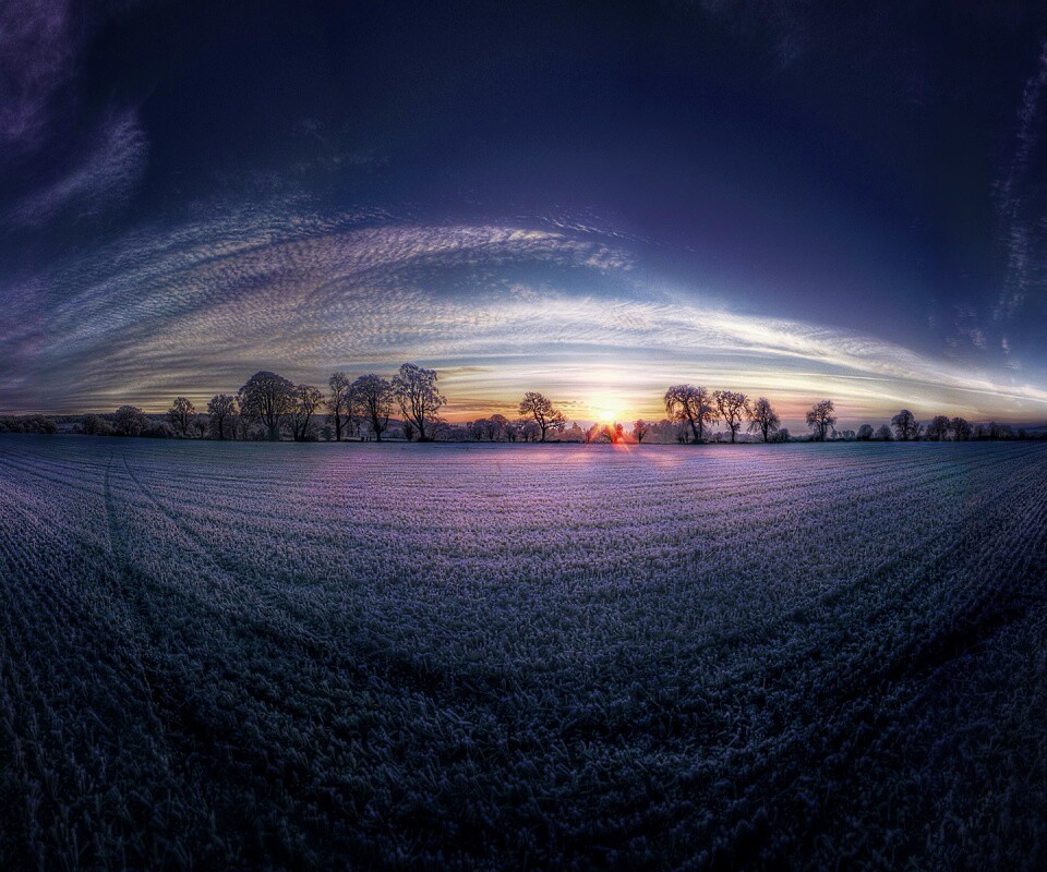 Поле широкоугольным объективом обои