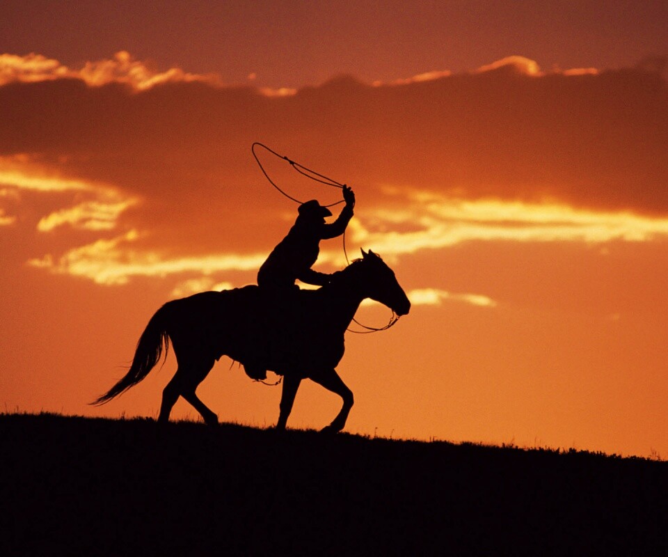 Силуэт ковбоя на закате обои