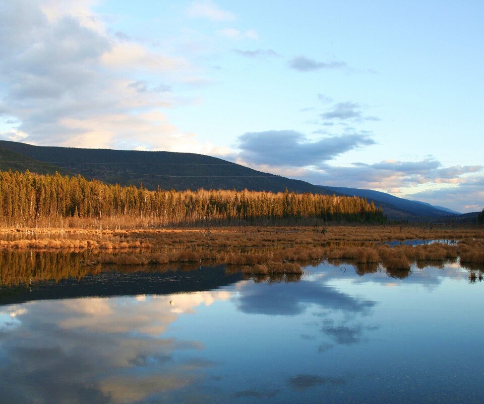 Осеннее озеро обои