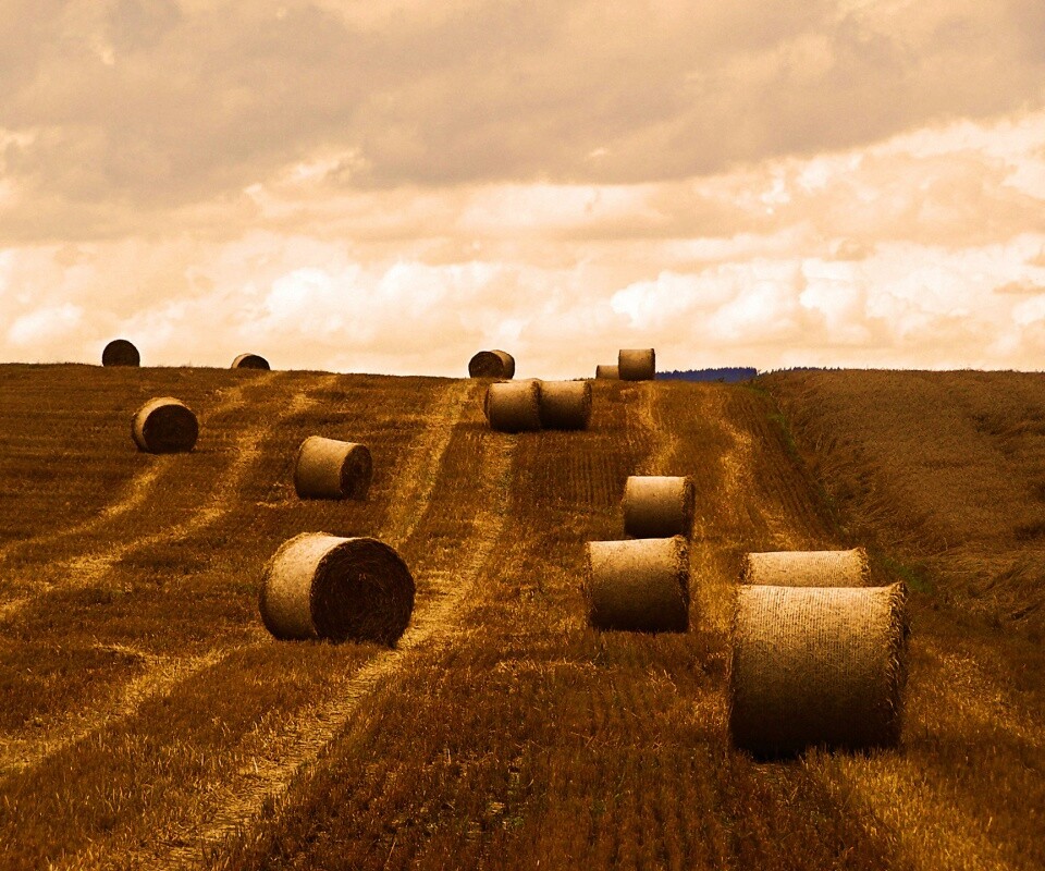 Уборка сена с поля обои