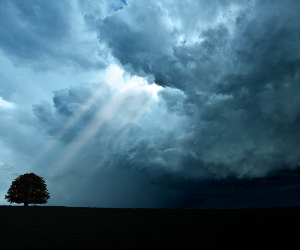 Избранный обои