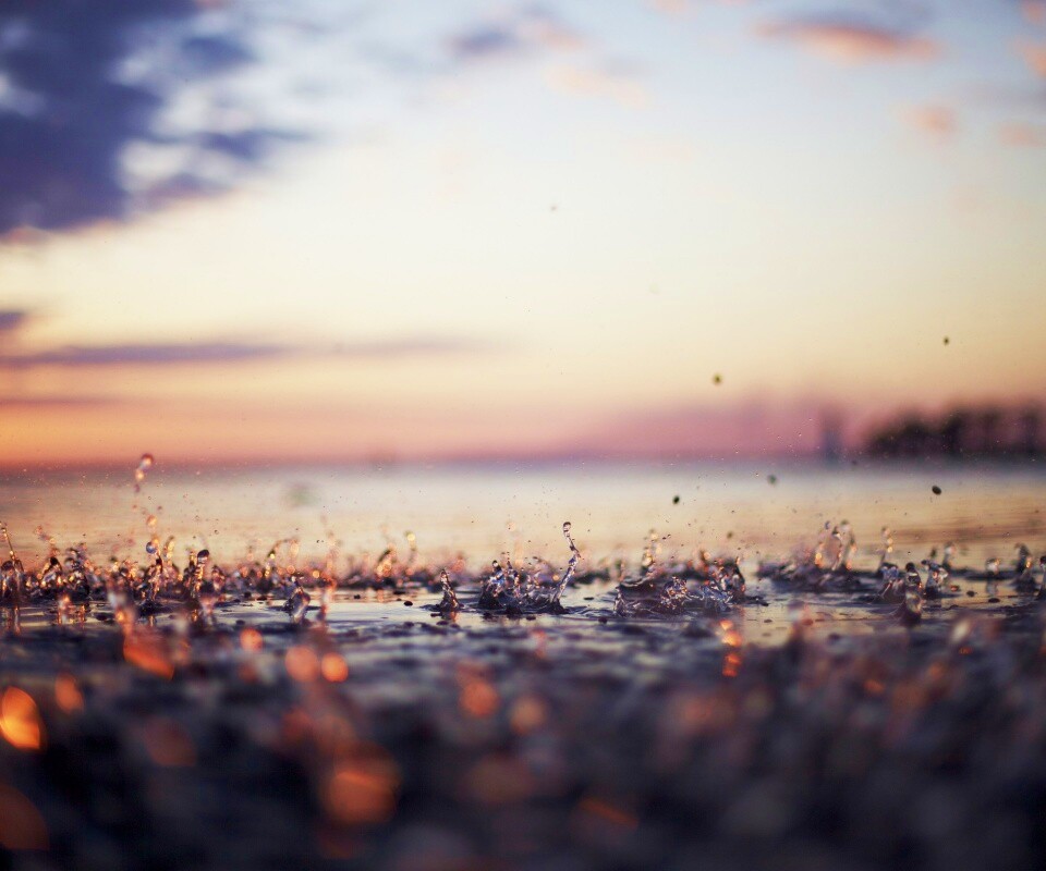 Дождь в макро обои