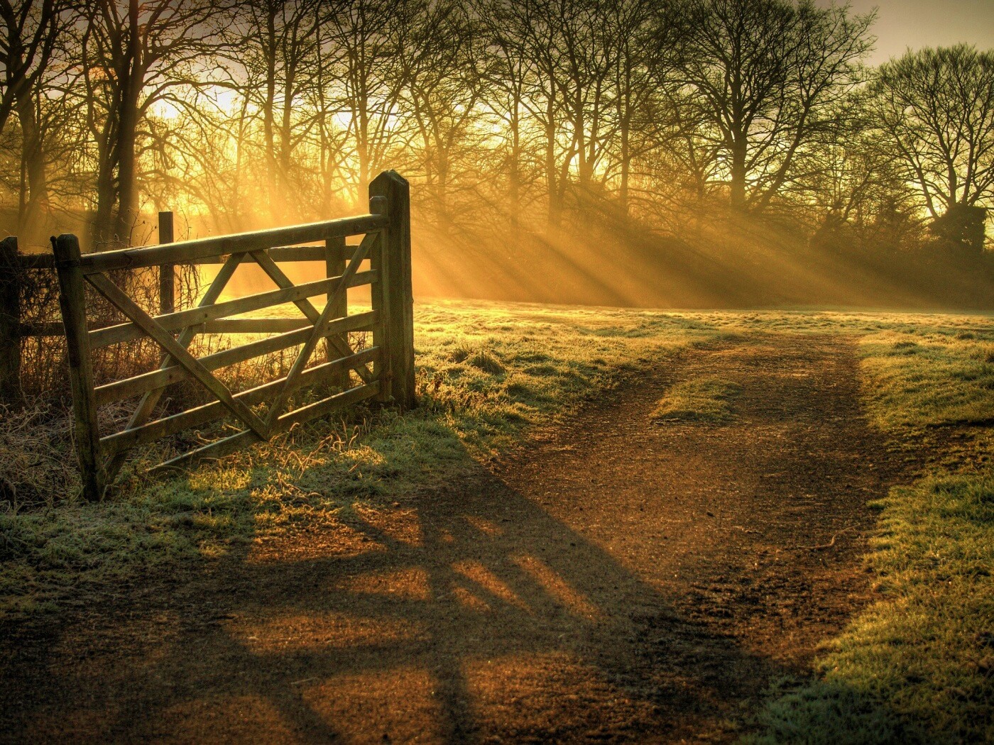 Открытые ворота обои