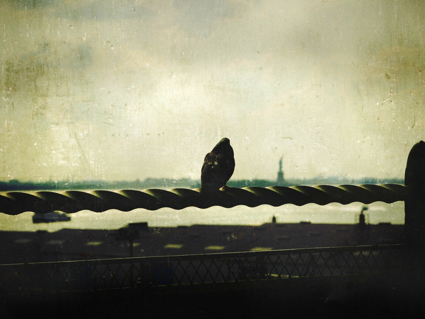 Голубь в Нью-Йоркских доках обои